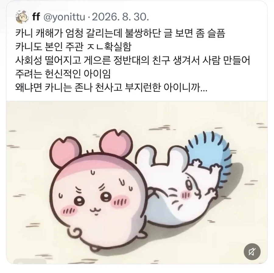 먼작귀)카니 관련 오해하면 안되는거 - 이미지 2
