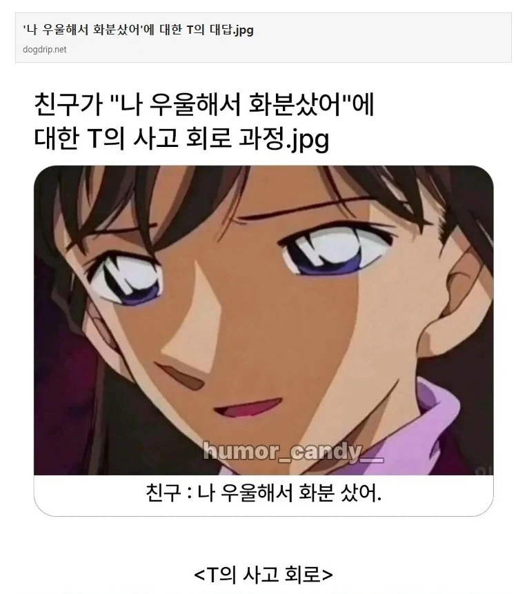 우울해서 화분샀어.jpg