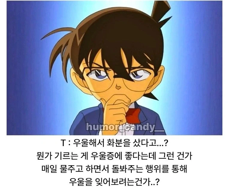 우울해서 화분샀어.jpg - 이미지 2