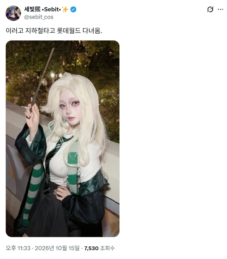 해리포터) 지하철 타고 롯데월드에 다녀온 코스어.jpg