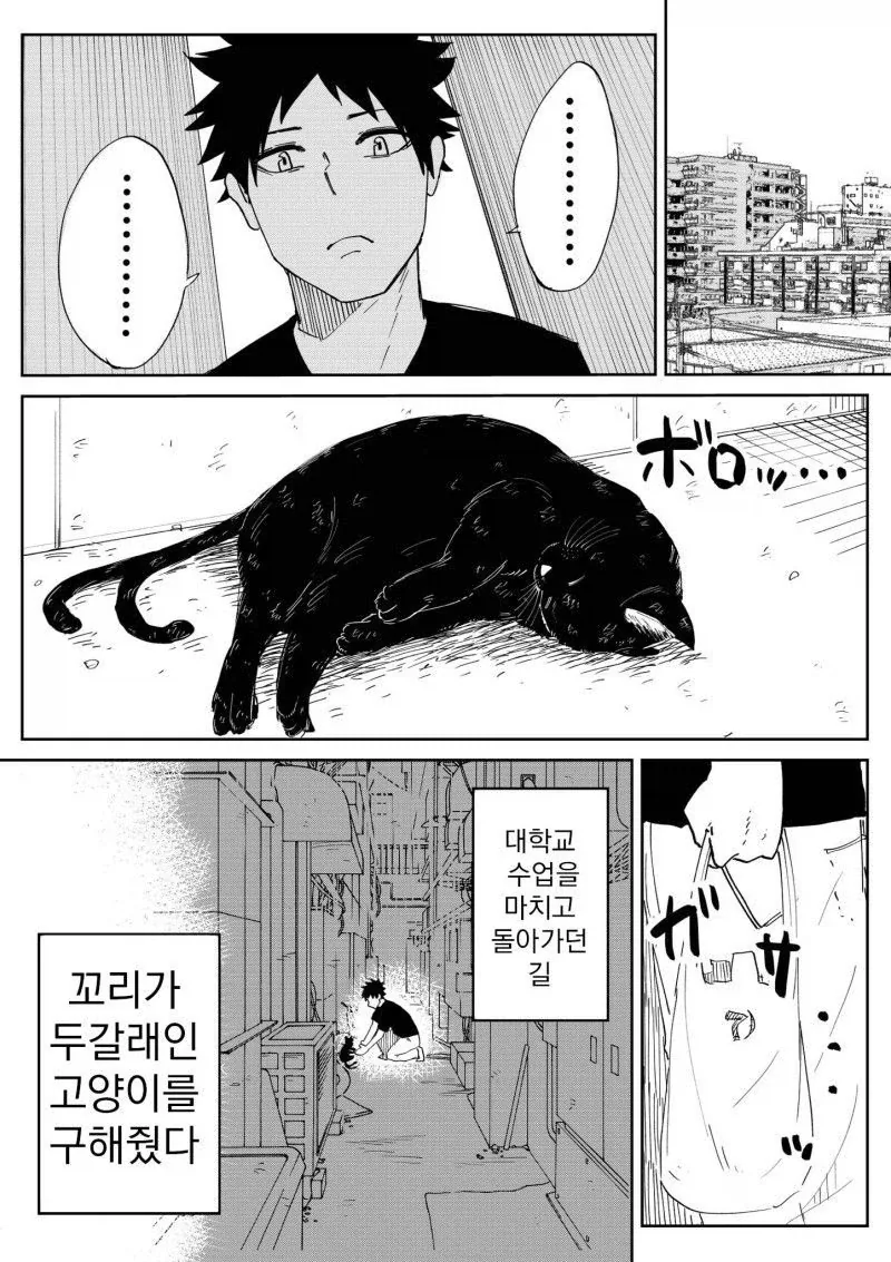 하찮은 찐따 속성 여캐가 좋다