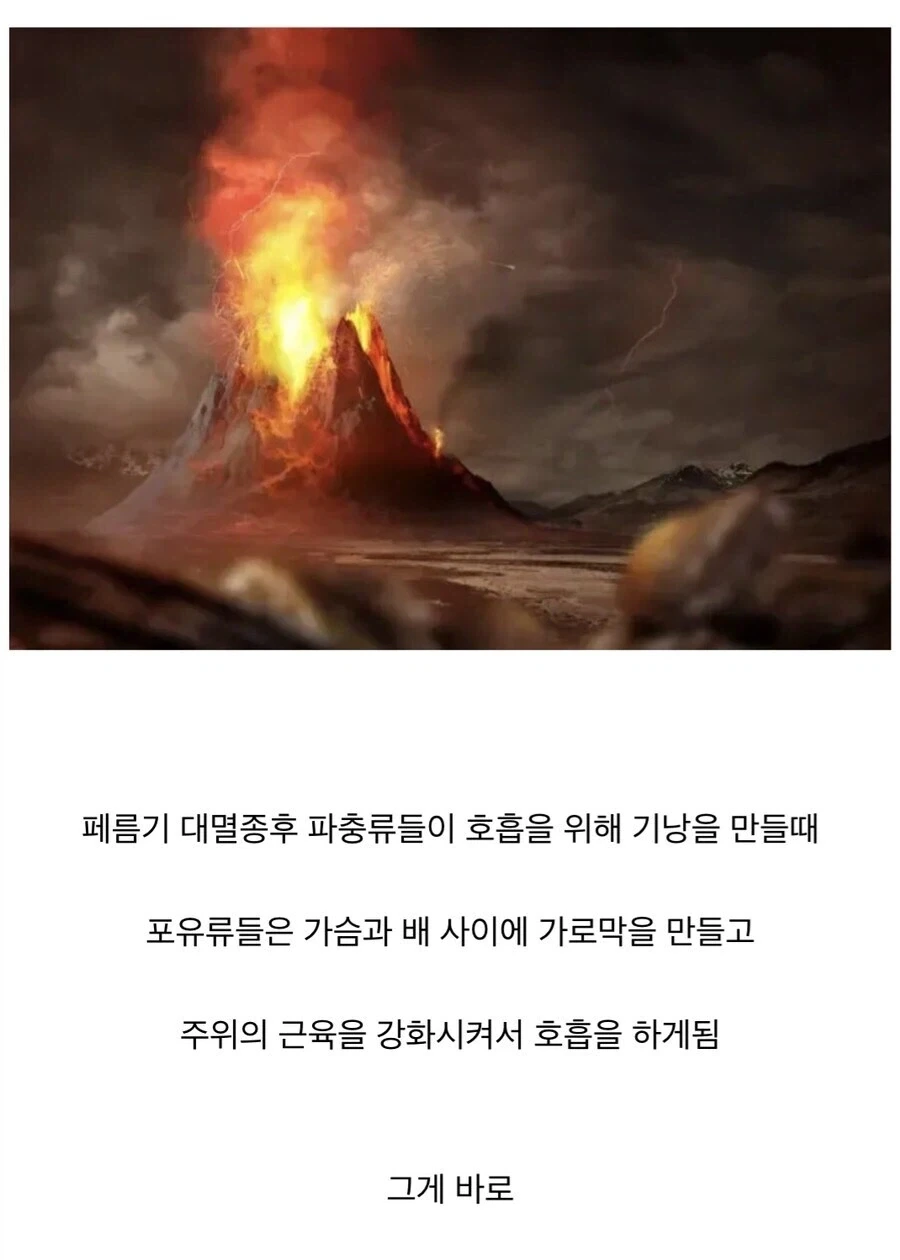 2억5천만년전 페름기 대멸종이 인류에게 넘겨준것