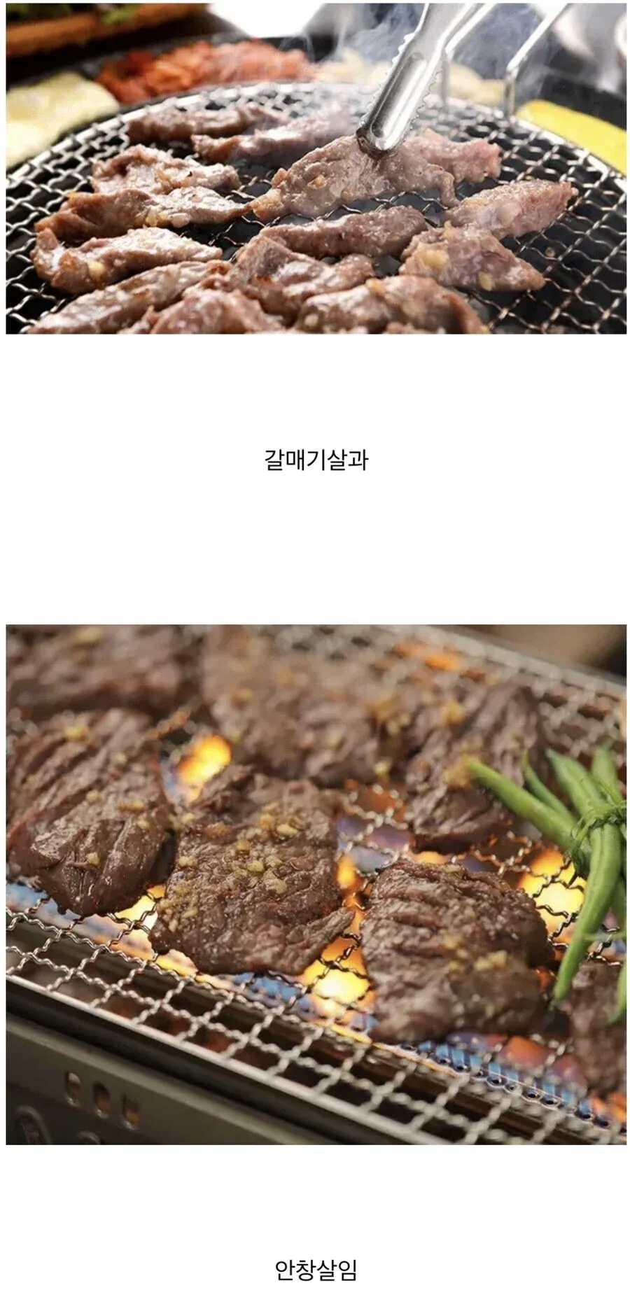 2억5천만년전 페름기 대멸종이 인류에게 넘겨준것 - 이미지 2