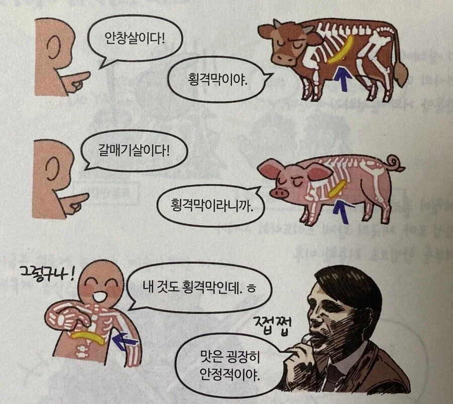 2억5천만년전 페름기 대멸종이 인류에게 넘겨준것 - 이미지 3