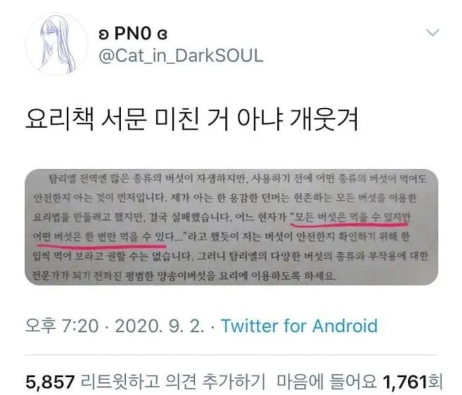 의외로 베데스다가 쓴 버섯 관련 명언