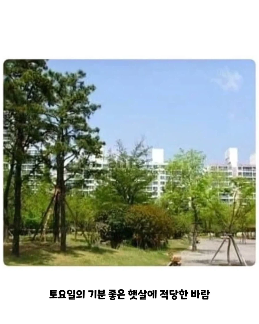 20년전 초등학교 풍경... - 이미지 8