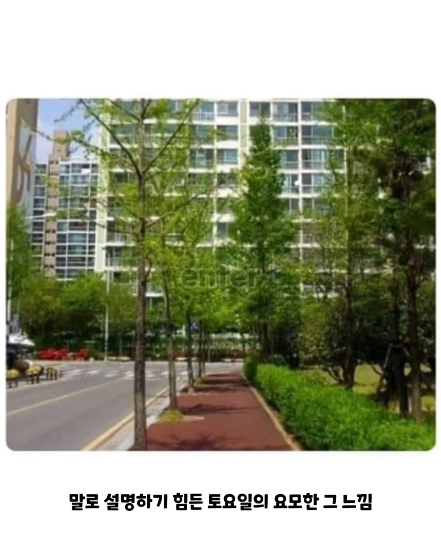 20년전 초등학교 풍경... - 이미지 9