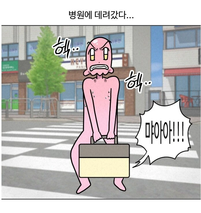 고양이가 갑자기 배가 나와서 병원에 가봤다.manhwa - 이미지 3