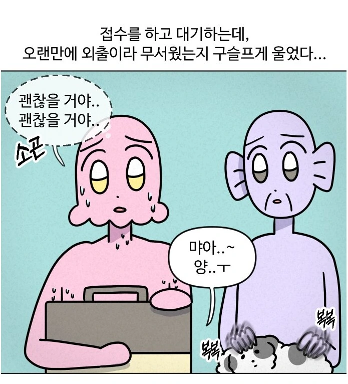 고양이가 갑자기 배가 나와서 병원에 가봤다.manhwa - 이미지 4