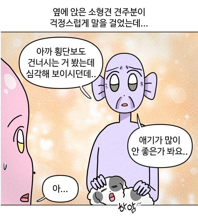 고양이가 갑자기 배가 나와서 병원에 가봤다.manhwa - 이미지 5