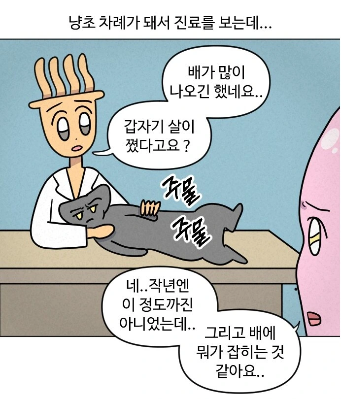 고양이가 갑자기 배가 나와서 병원에 가봤다.manhwa - 이미지 7