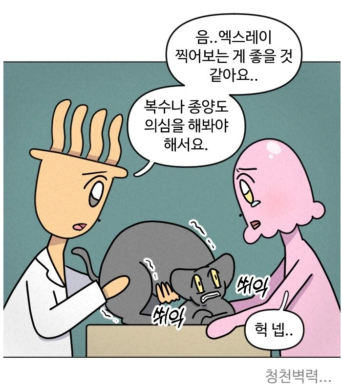 고양이가 갑자기 배가 나와서 병원에 가봤다.manhwa - 이미지 8