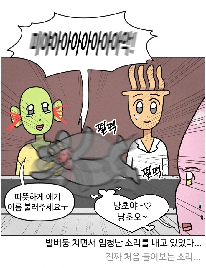 고양이가 갑자기 배가 나와서 병원에 가봤다.manhwa - 이미지 11