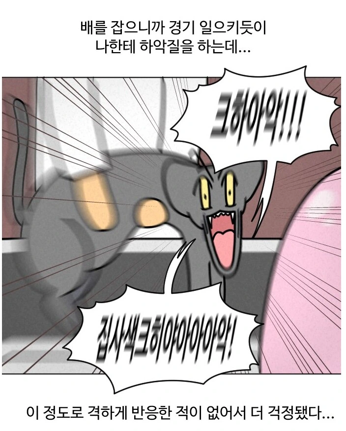 고양이가 갑자기 배가 나와서 병원에 가봤다.manhwa - 이미지 12