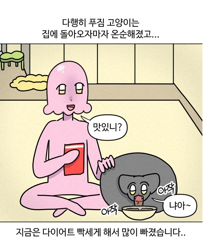 고양이가 갑자기 배가 나와서 병원에 가봤다.manhwa - 이미지 16