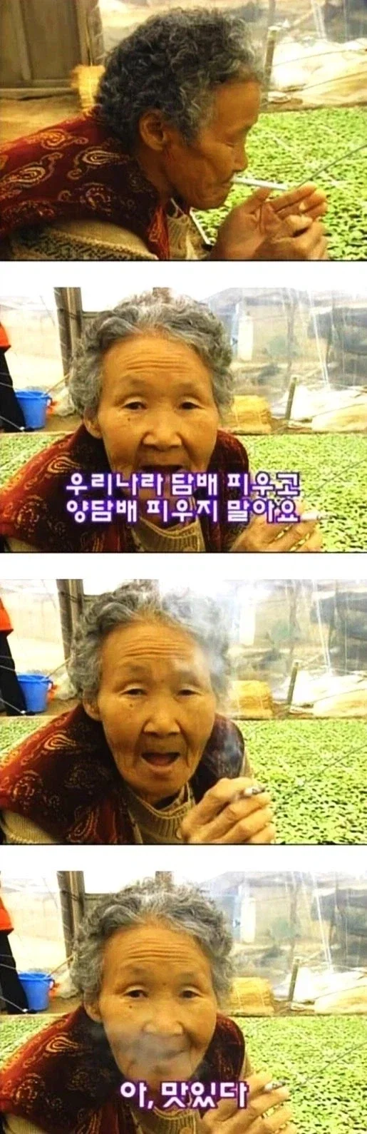 국산담배를 권하는 할머니