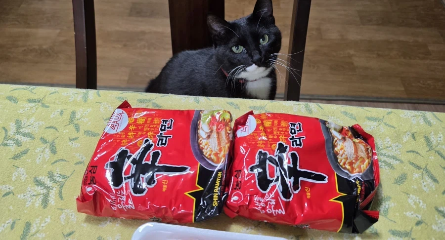 퇴근후 야옹이랑 소소하게 한잔함 - 이미지 2