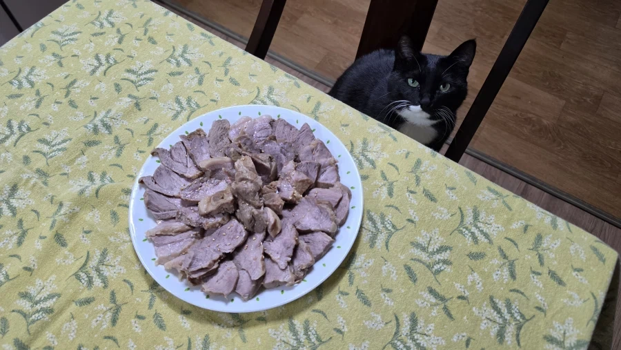 퇴근후 야옹이랑 소소하게 한잔함 - 이미지 5