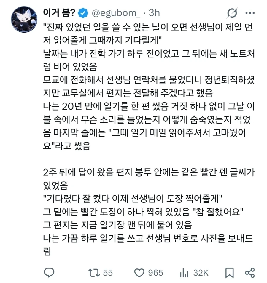거짓 일기 쓴 아이 - 이미지 2