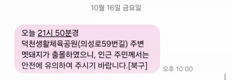 자기가 싶으면 경찰에 자수해라