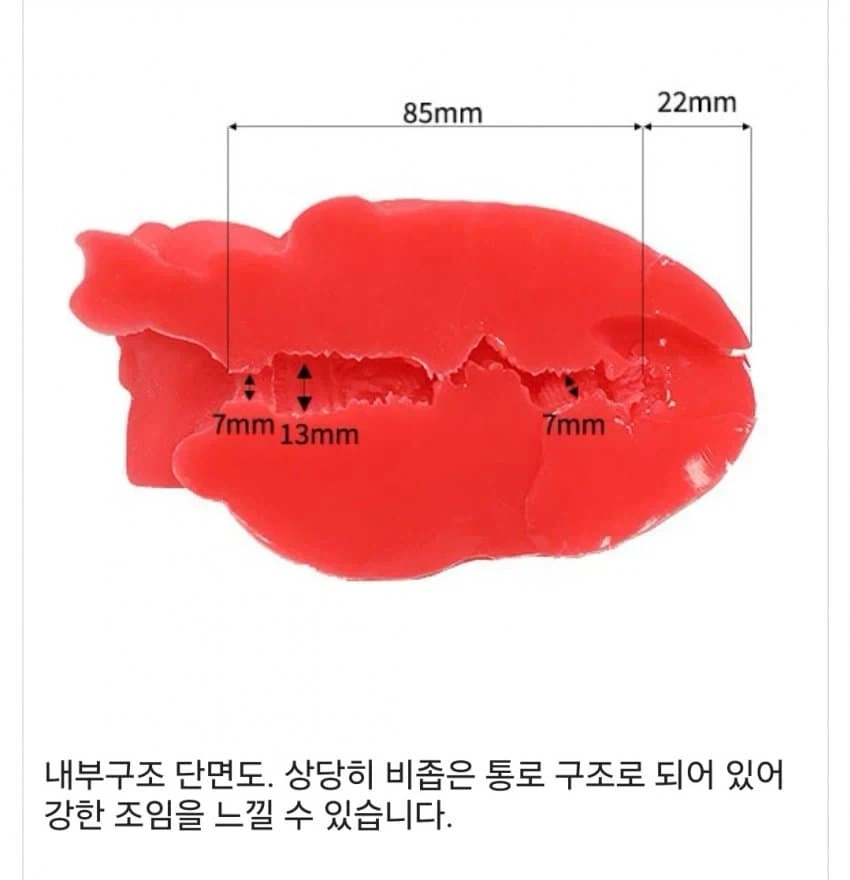 심장 단면도 모형 - 이미지 2