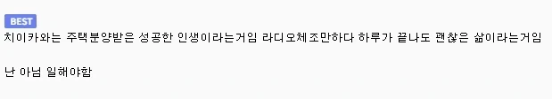 치이카와 보고 찐따라 하면 안되는 이유.jpg