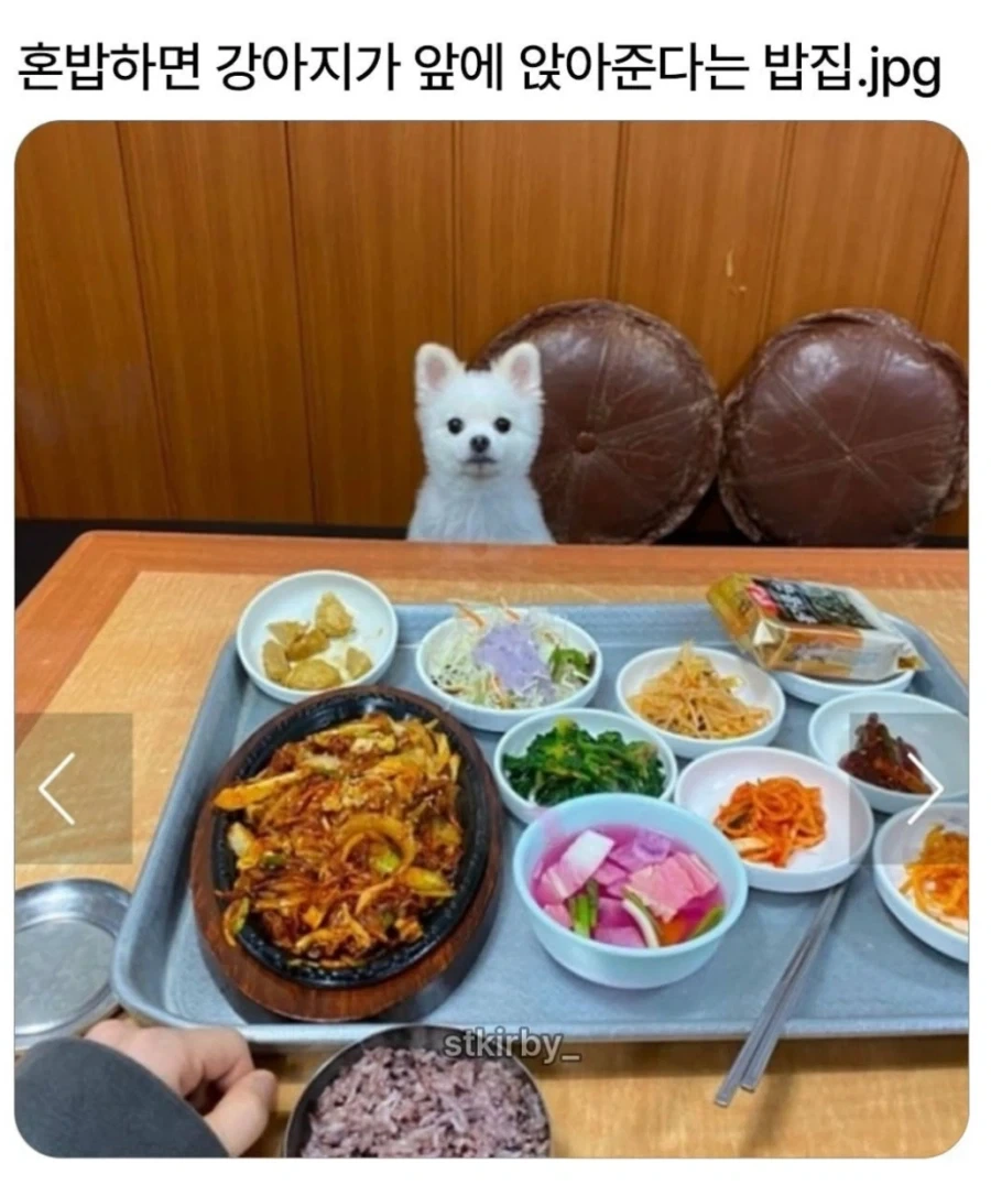 혼밥하면 강아지가 앞에 앉아준다는 밥집