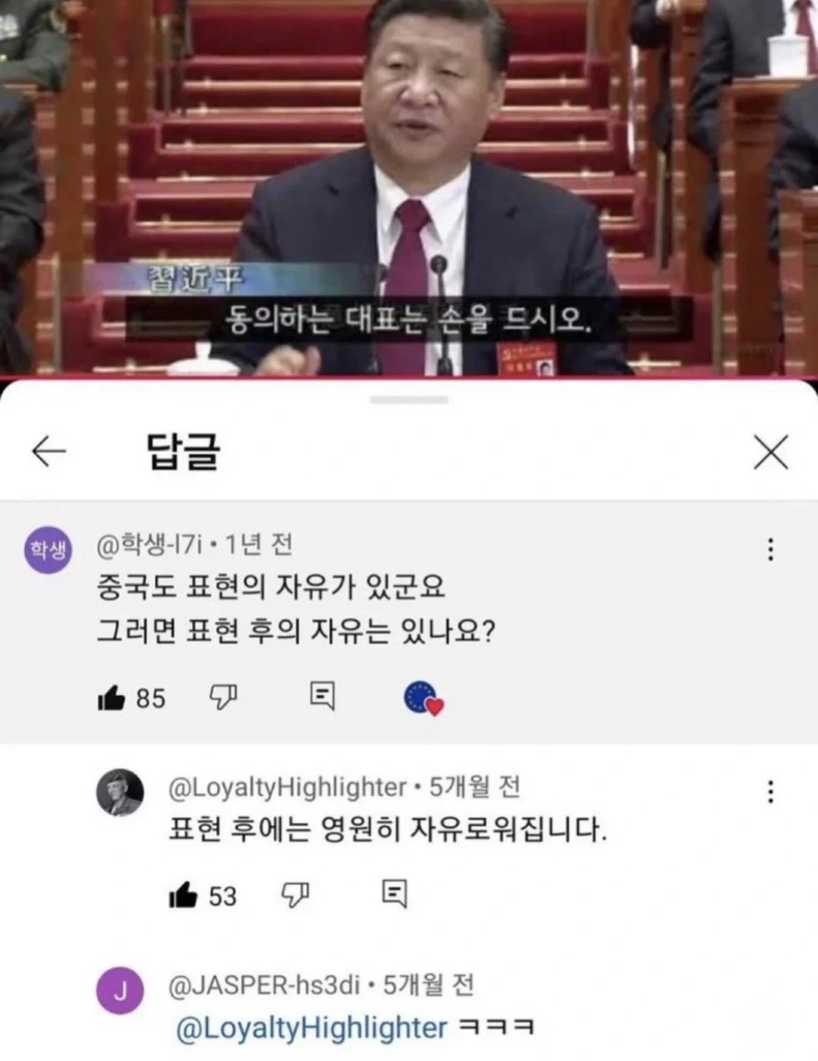 중국도 표현의 자유가 있군요