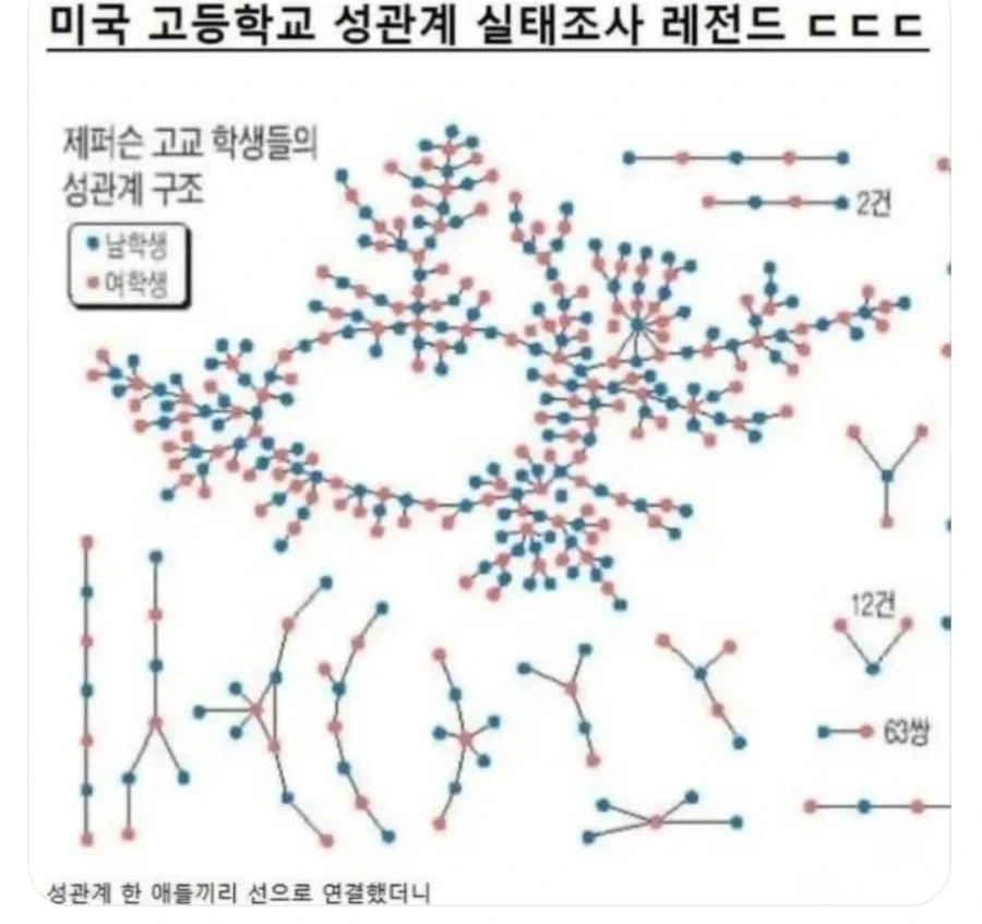 충격적인 미국 성관계 실태조사