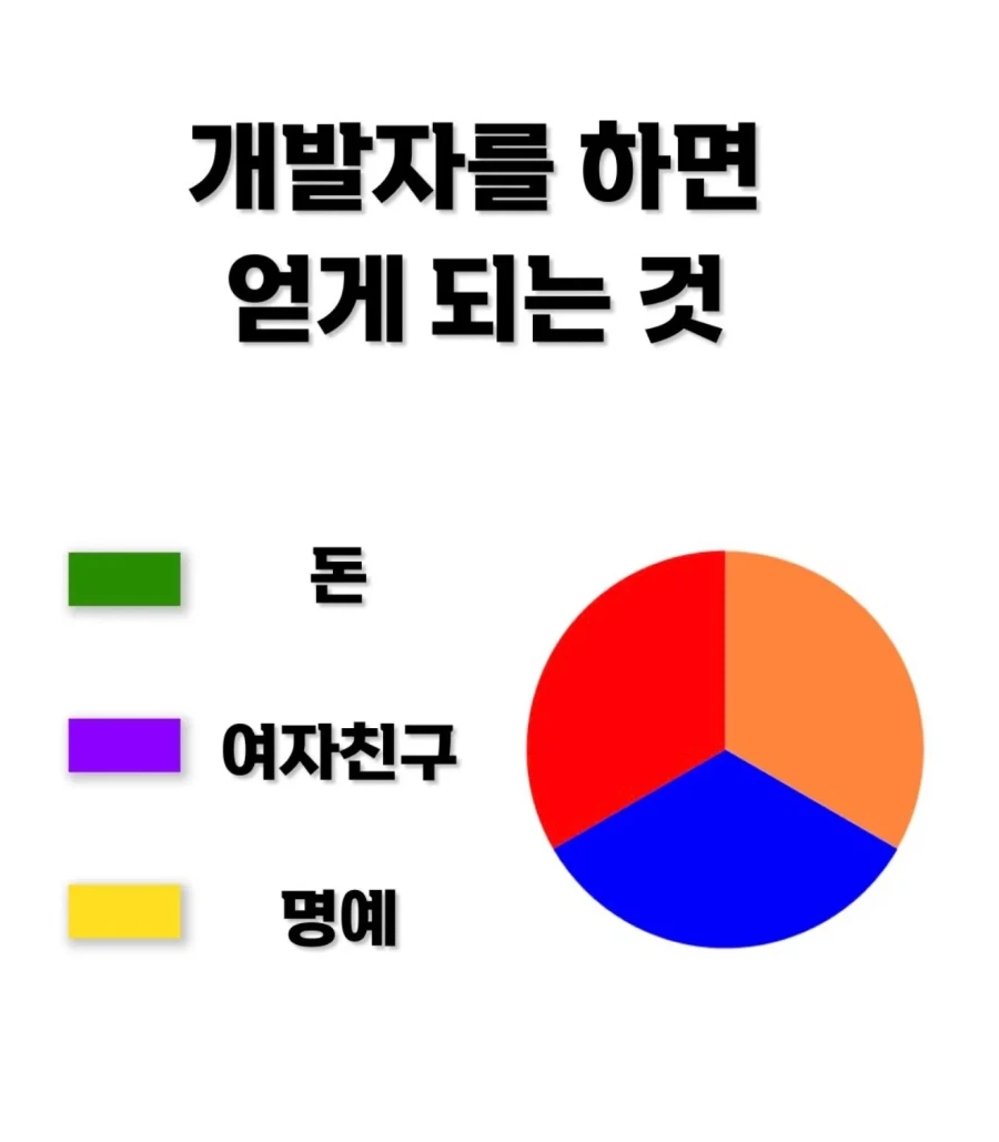 2026년에 개발자하면 얻게 되는 것.jpg