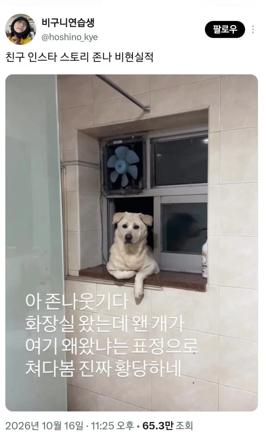 비현실적인 친구 인스타 스토리