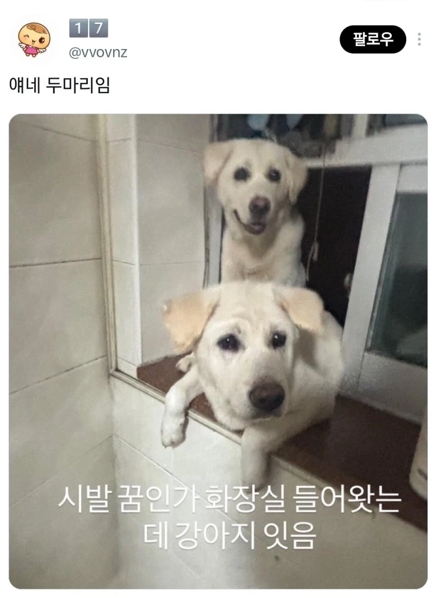 비현실적인 친구 인스타 스토리 - 이미지 4