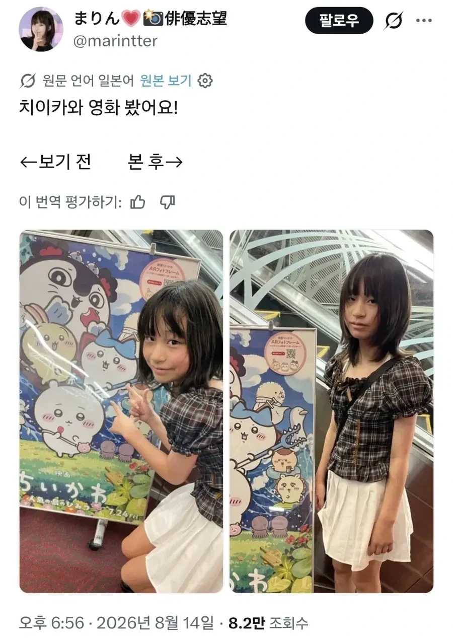 이제는 이해되는 치이카와 극장판 후기