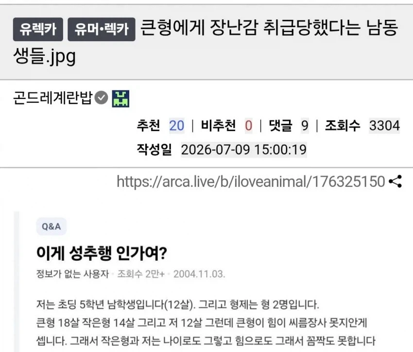 형에게 장난감 취급 당했다는 남동생들.jpg - 이미지 14