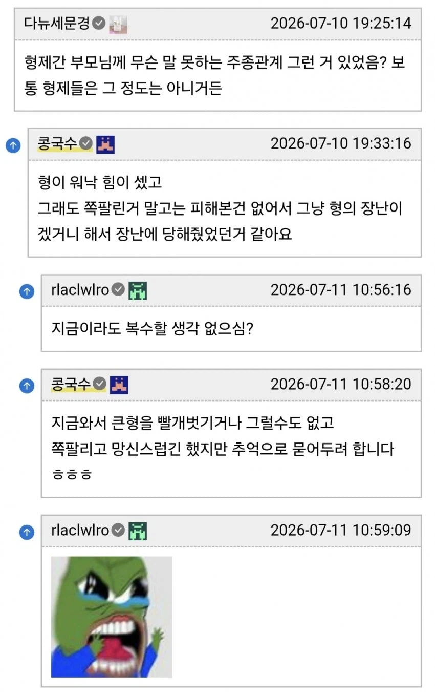 형에게 장난감 취급 당했다는 남동생들.jpg - 이미지 24