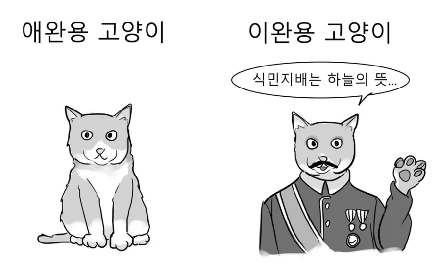 고양이 입양할때 조심해야 하는 이유