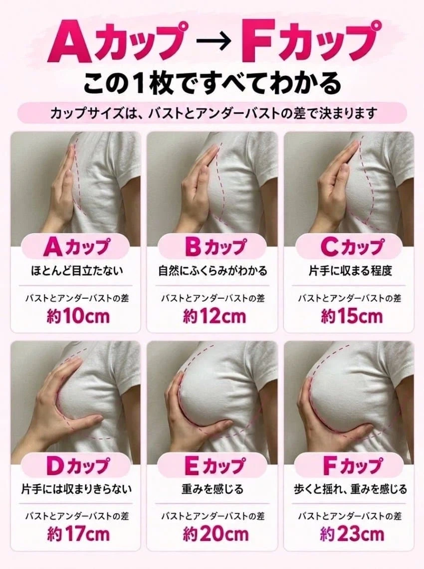 손모양으로 알아보는 가슴 크기