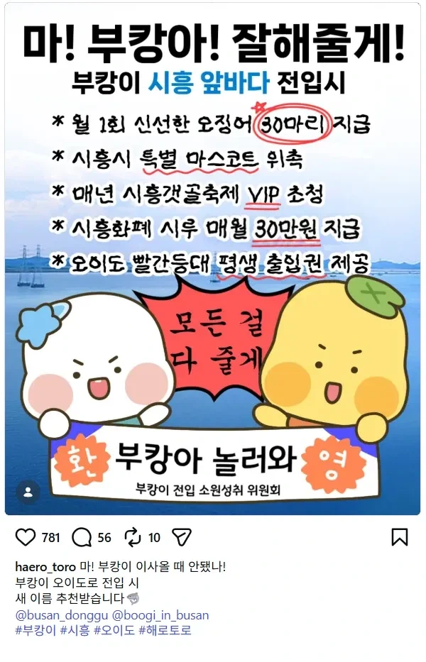 부캉이로 꿀빠는 부산이 부러운 지자체