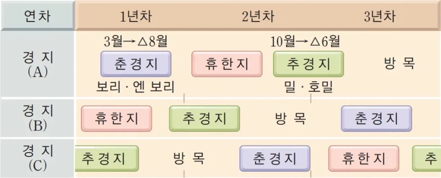 중세 농민의 여유로운 삶의 비밀 - 이미지 2