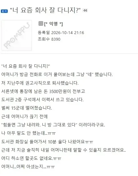 권고사직 당했는데 엄마에게서 걸려온 전화.