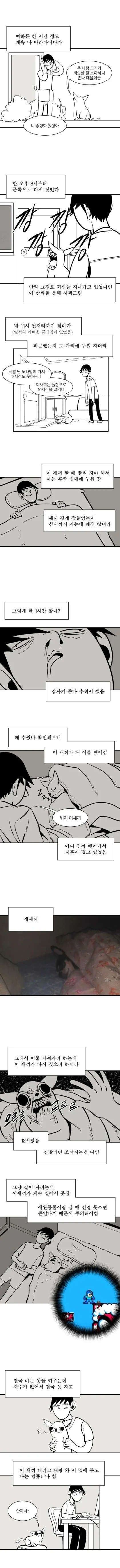 치와와가 존나 싫은 만화.manhwa - 이미지 3