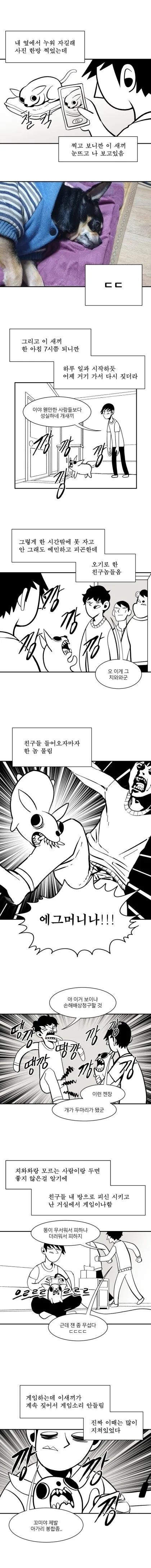 치와와가 존나 싫은 만화.manhwa - 이미지 4