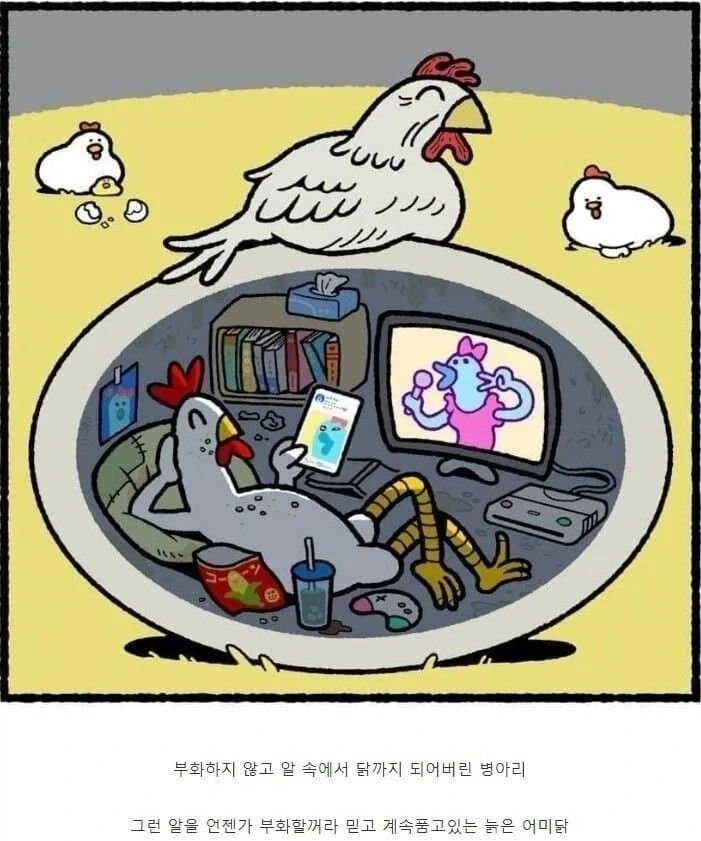부화하지 않는 알을 품는 어미닭