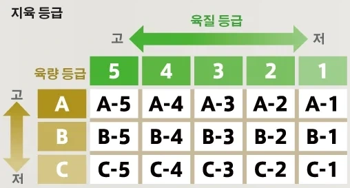 최상급 와규 A5 - 이미지 2