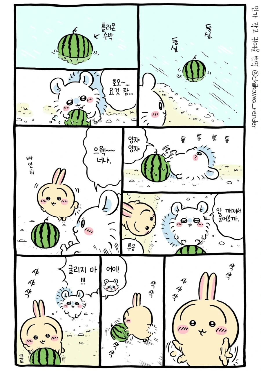 치이카와) 수박