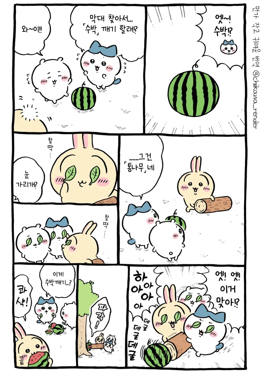 치이카와) 수박 - 이미지 2