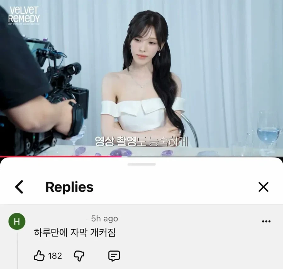 레드벨벳 유튜브 나이먹은팬의 일침.jpg - 이미지 2