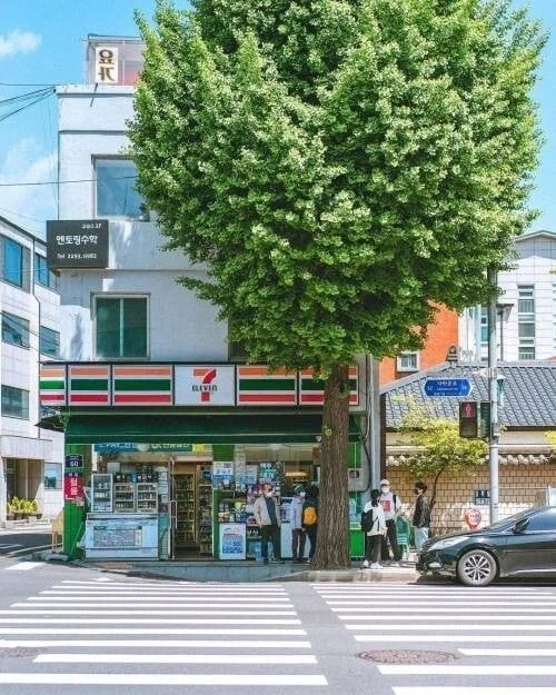 외국인이 느끼는 한국