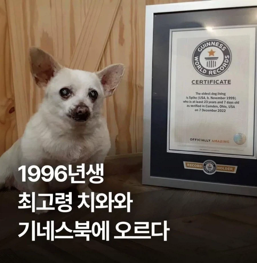 화가나면 속시원하게 풀어야하는 이유