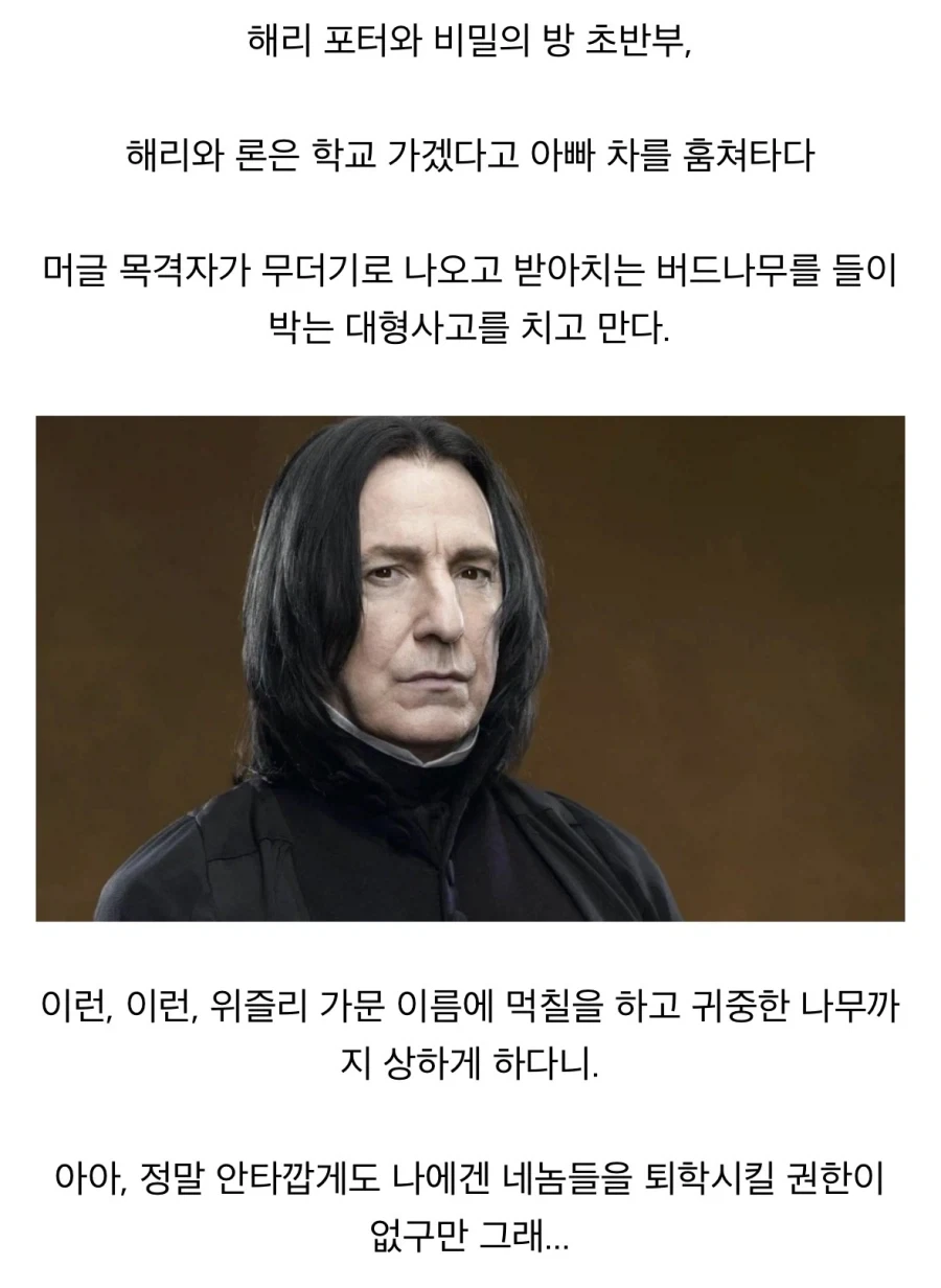 해리포터) 스네이프 ㄹㅇ 해리를 꼽주기 위해서라면 뭐든 가능했구나